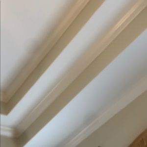 Meet your Posher, Abigail